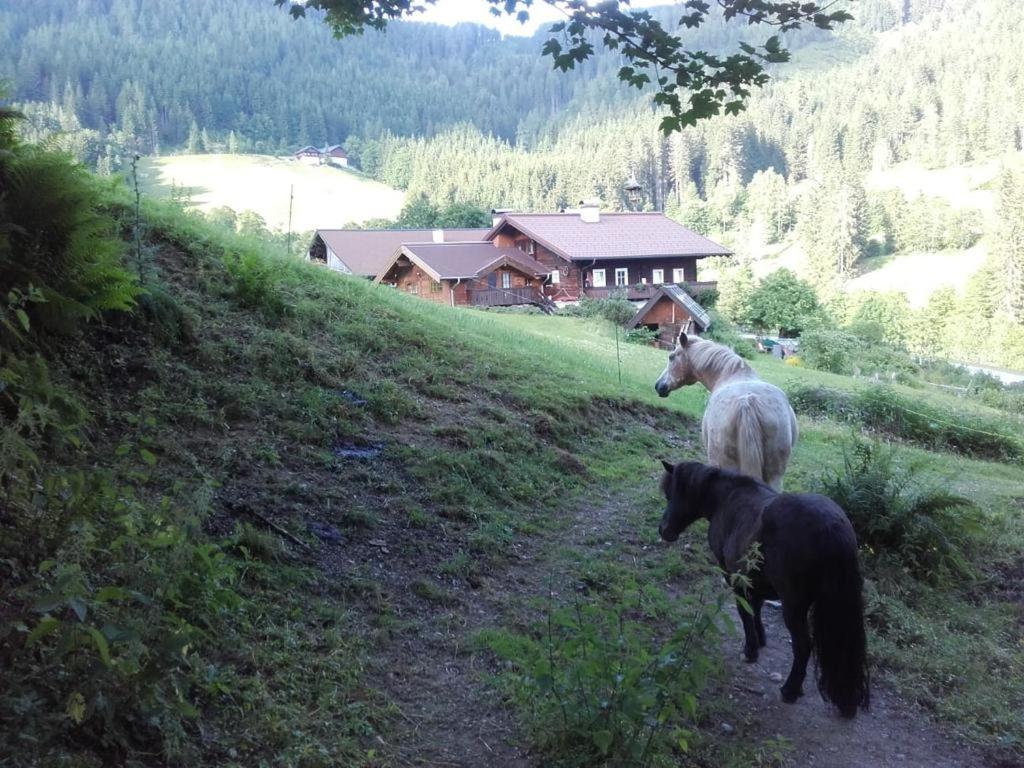 Neudegghof Daire Eben Im Pongau Dış mekan fotoğraf