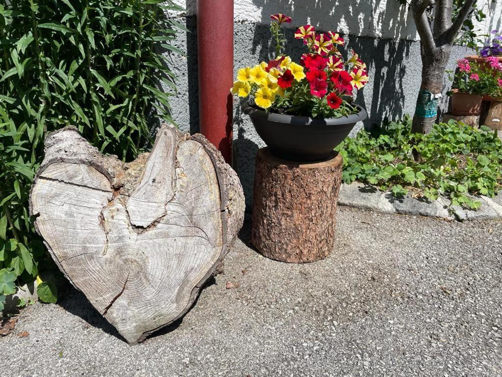 Neudegghof Daire Eben Im Pongau Dış mekan fotoğraf