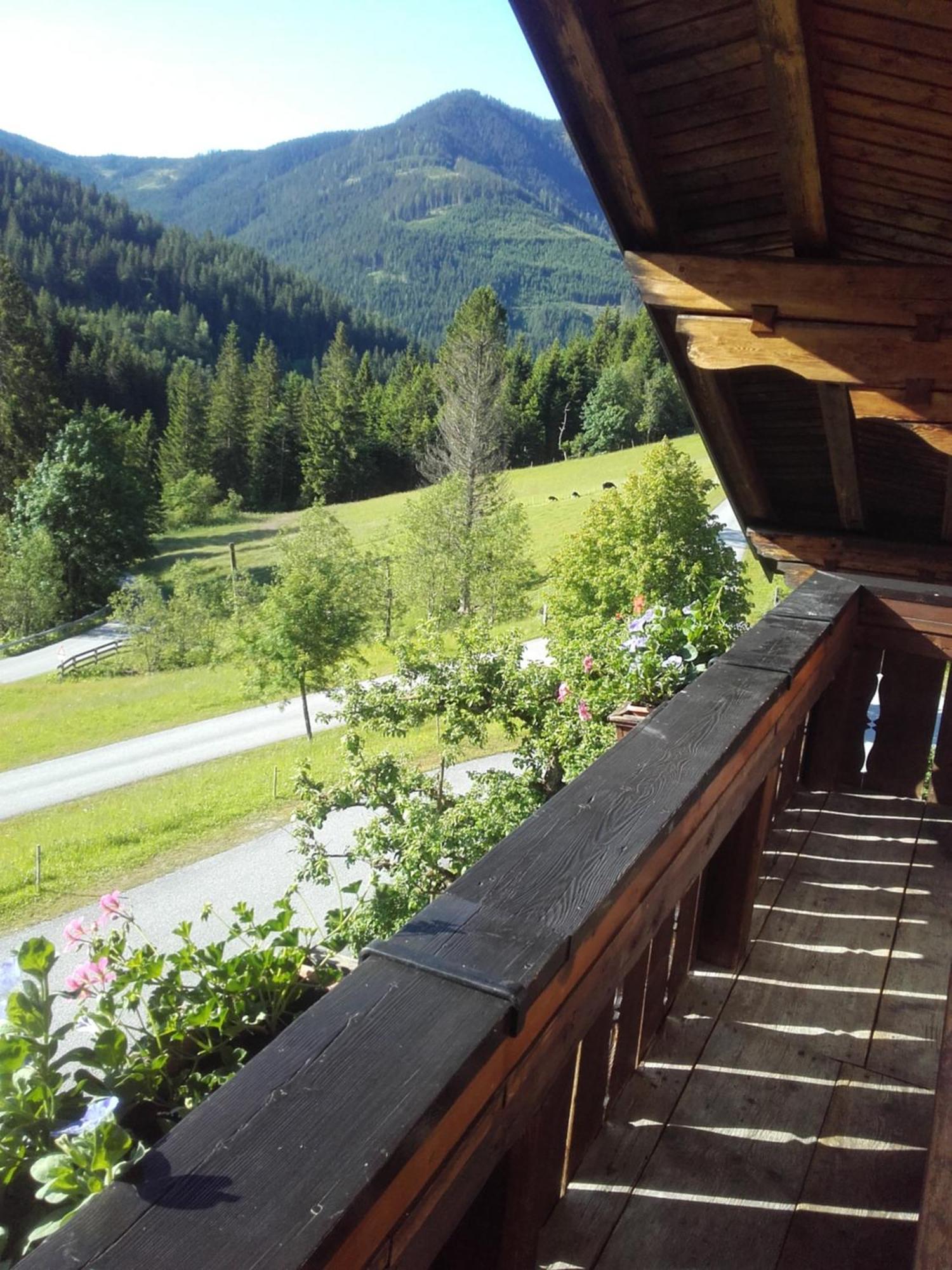 Neudegghof Daire Eben Im Pongau Oda fotoğraf